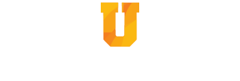 DISC Plus University