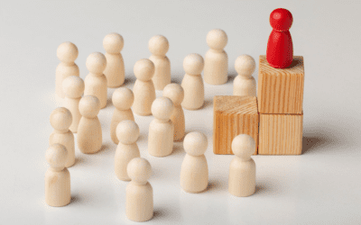 DISC Leadership Types