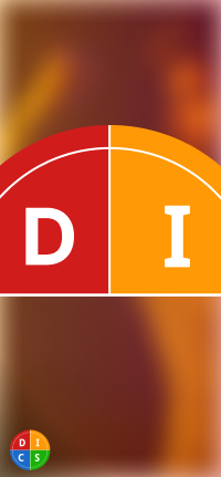 DISC Plus Assessments