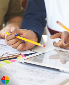 DISC Plus Assessments