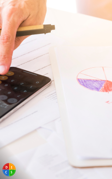 DISC Plus Assessments