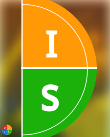 DISC Plus Assessments